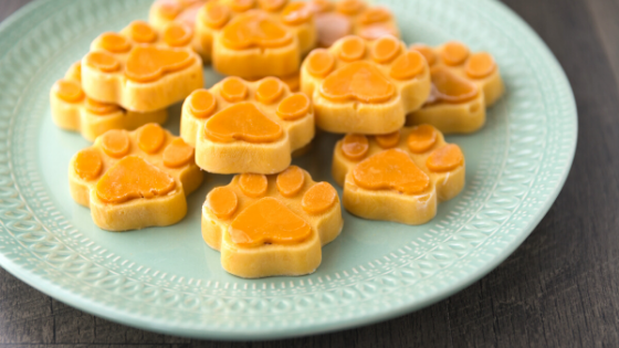 How To Make CBD Pet Treats At Home - Coastal Hemp Co
