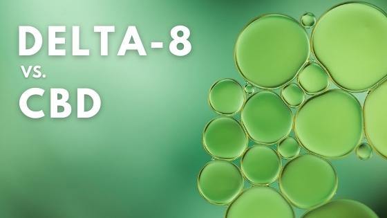 Delta 8 vs CBD: What’s The Difference? - Coastal Hemp Co