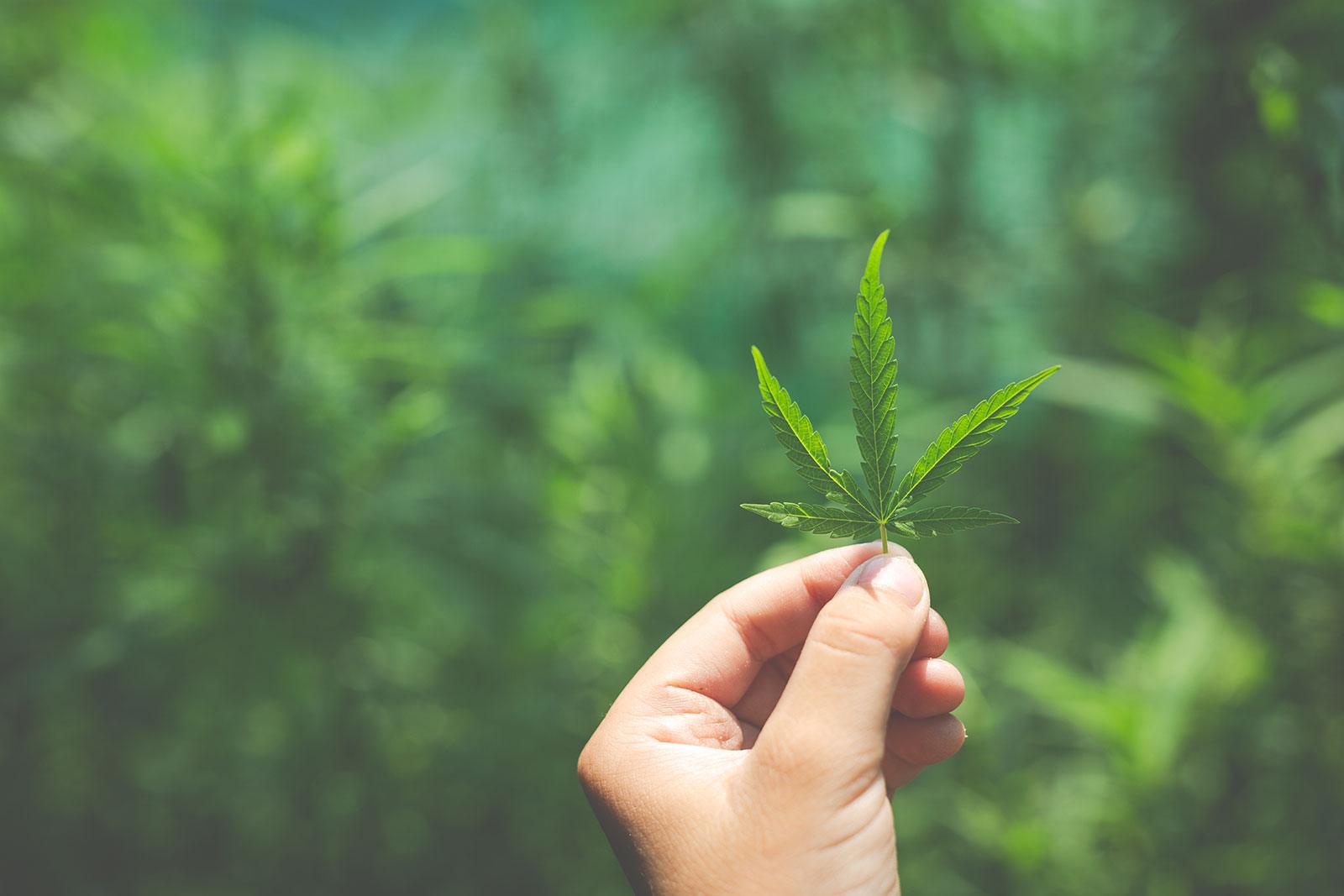 Exploring Delta-Types of THC: Insights & Effects - Coastal Hemp Co