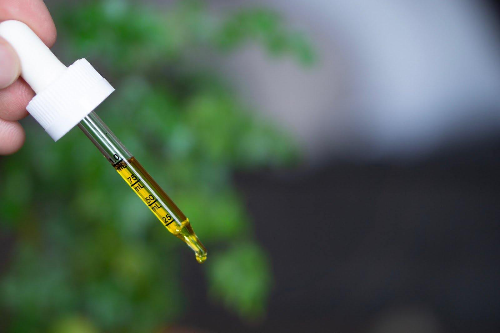 How Will CBD Make Me Feel? - Coastal Hemp Co