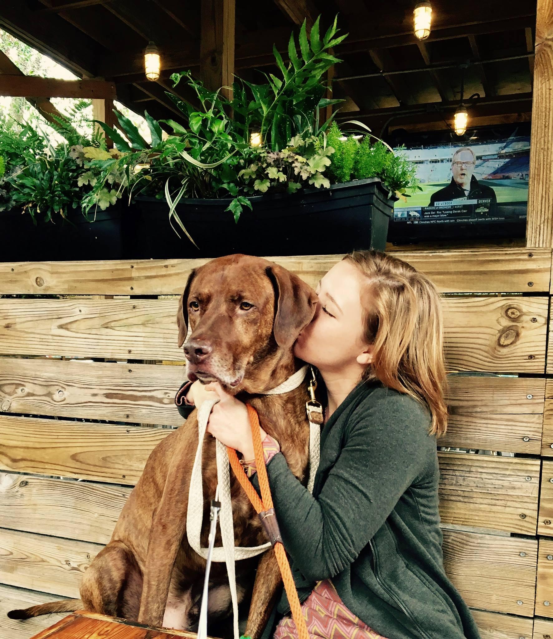 Is CBD Safe for Pets? What you need to Know. - Coastal Hemp Co