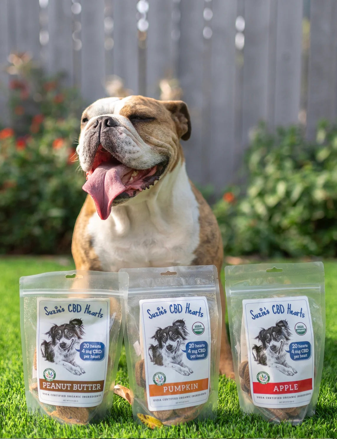 Suzie's CBD Dog Treats 20ct 4mg