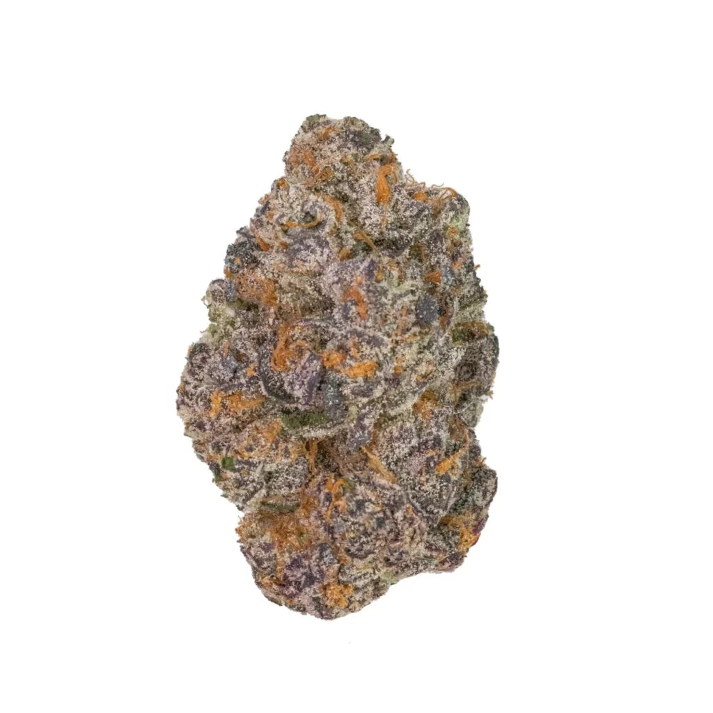 Apple Fritter THCA Flower Balanced Coastal Canna Coastal Hemp Co