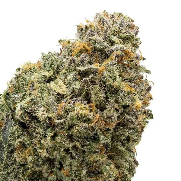 Glitterati Hybrid - Indica Exotic THCA Flower Coastal Hemp Co Coastal Hemp Co