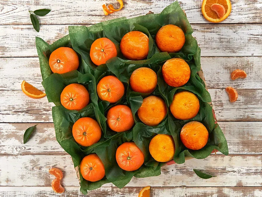 Earthy Tangerine Dream 100mg THC Beverage Earthy Coastal Hemp Co