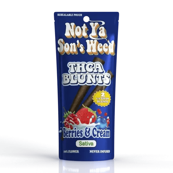 NYSW THCa Blunts 2pk Not Ya Sons Weed Coastal Hemp Co