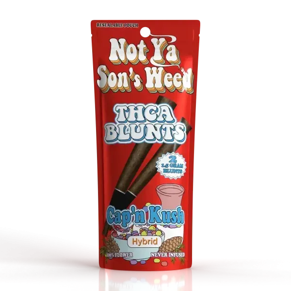 NYSW THCa Blunts 2pk Not Ya Sons Weed Coastal Hemp Co