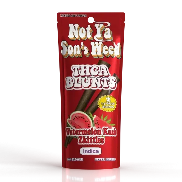 NYSW THCa Blunts 2pk Not Ya Sons Weed Coastal Hemp Co