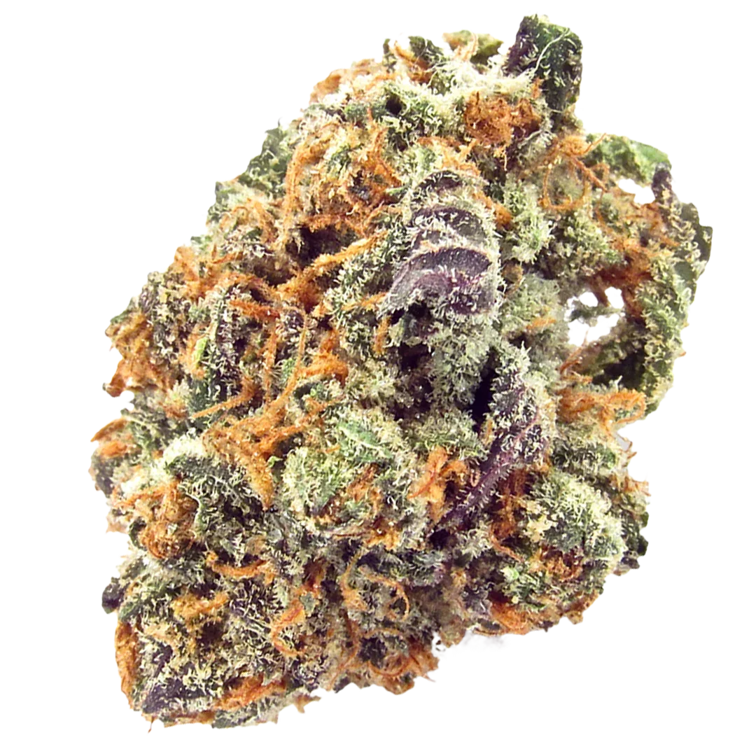 Mimosa #1 THCa Flower Sativa Coastal Canna Coastal Hemp Co