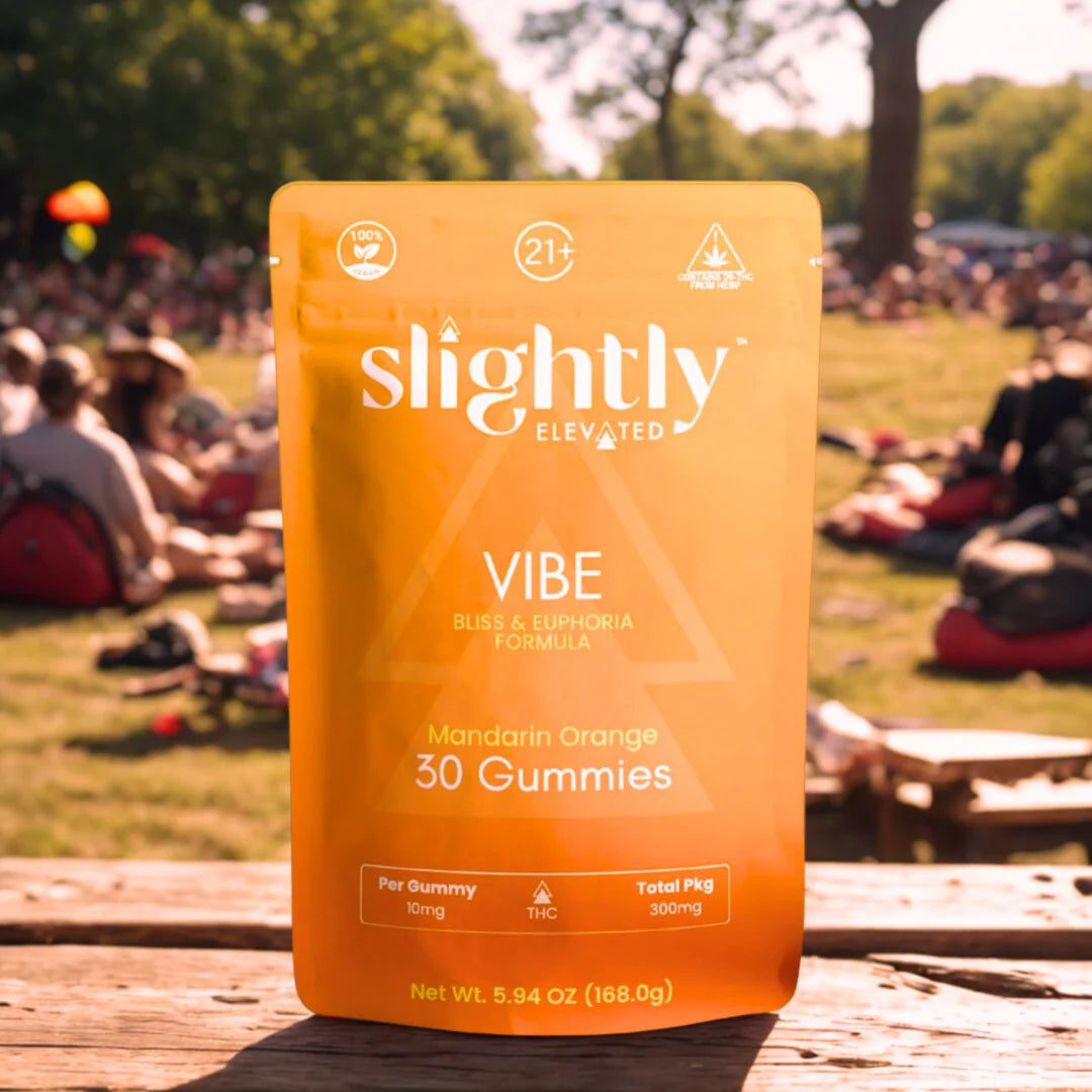A bag of Slightly Elevated Vibe Gummies 30ct by Slightly Elevated is shown outdoors on grass, with people relaxing on blankets at a park event in the blurred background.