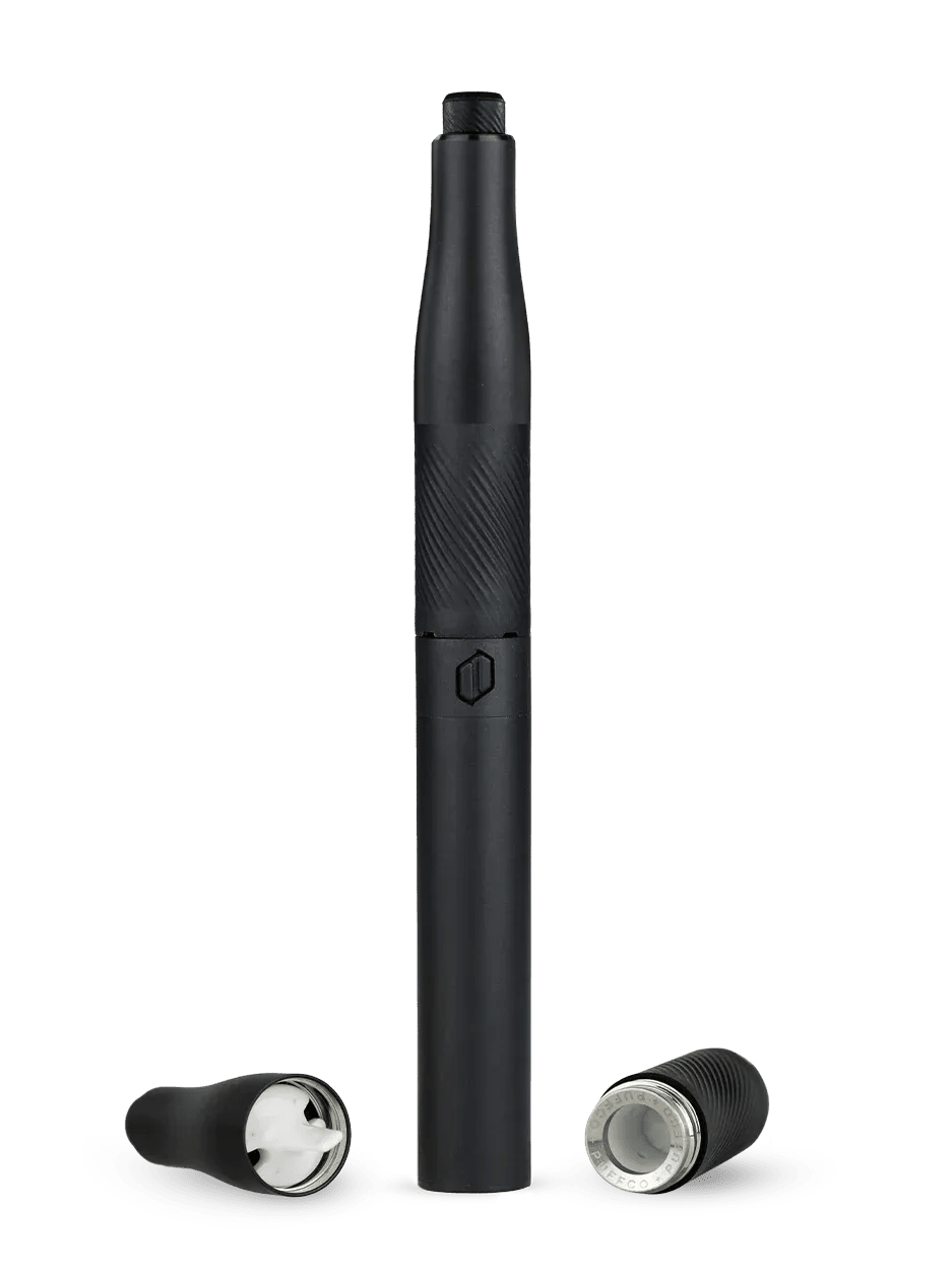 Puffco Plus 3.0 Vaporizer Puffco Coastal Hemp Co