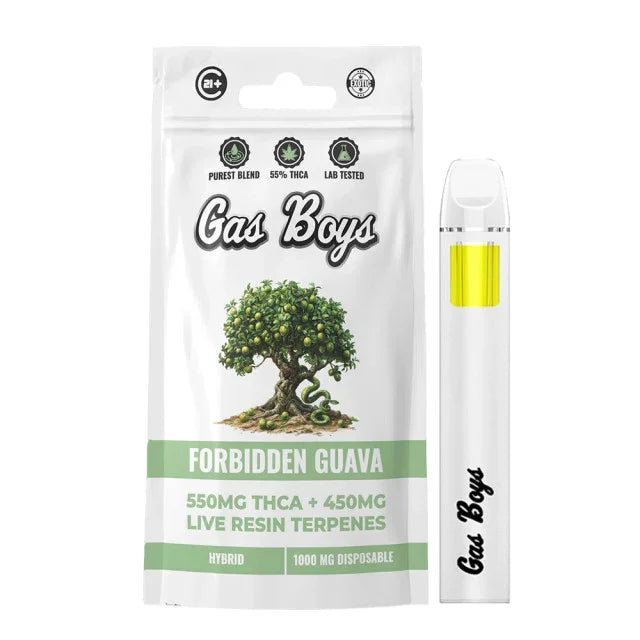 Gas Boy's THCA Disposable 1G Gas Boys Coastal Hemp Co