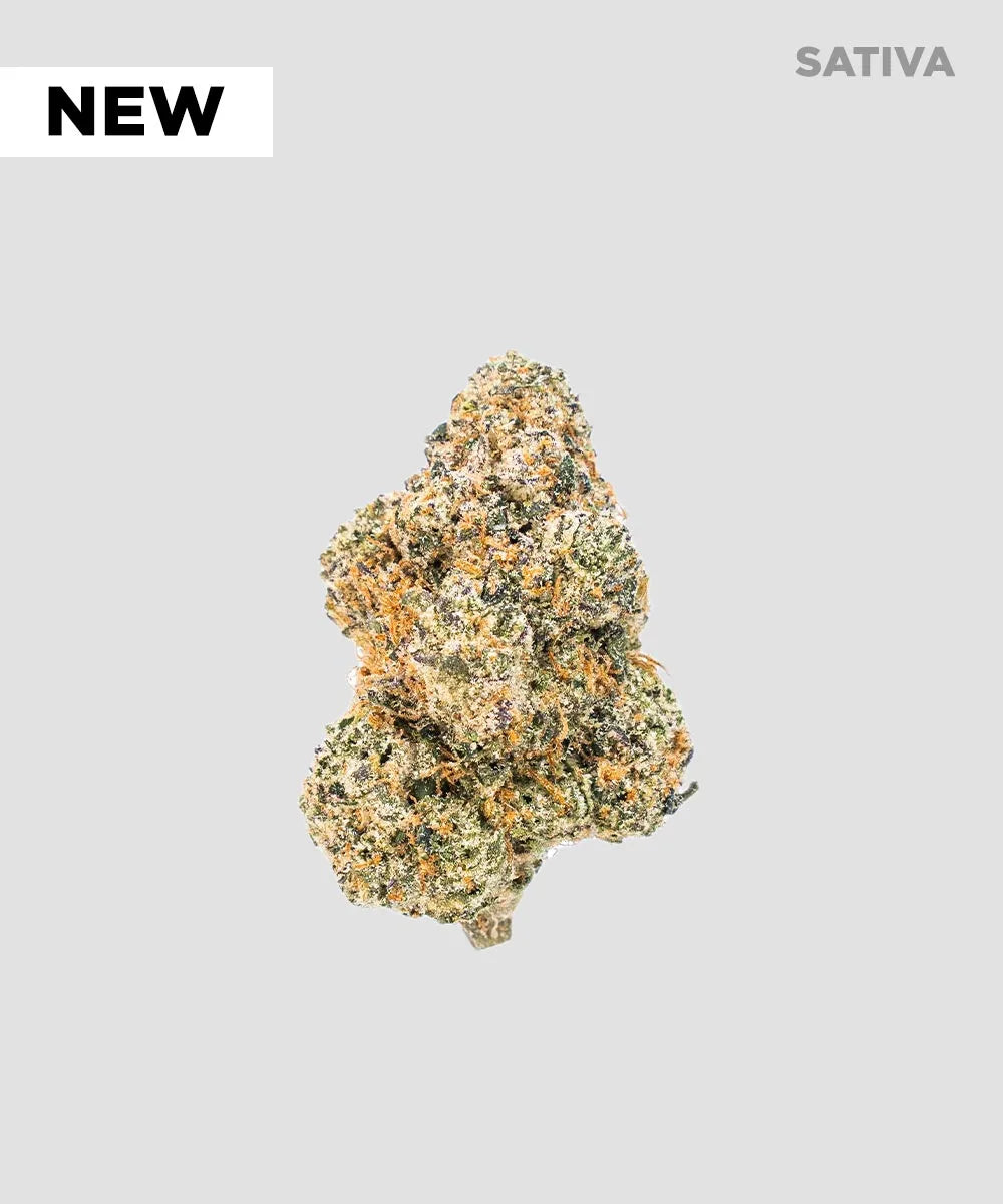Imperial Exotic Zaza THCA Flower 3.5G - Coastal Hemp Co