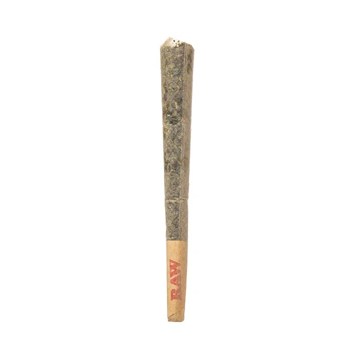 MUFFINS Hash Hole THCA 2G Preroll Muffins Coastal Hemp Co