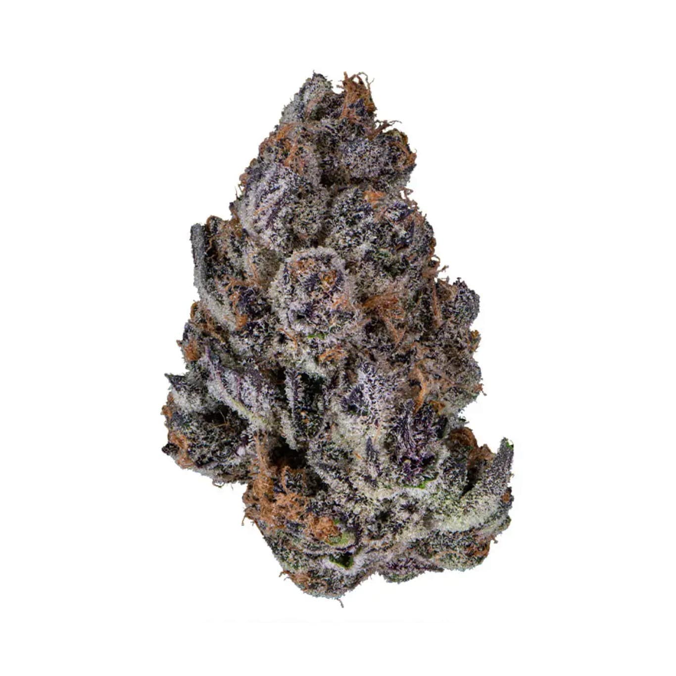 Super Boof Hybrid Exotic THCA Flower Coastal Canna Coastal Hemp Co