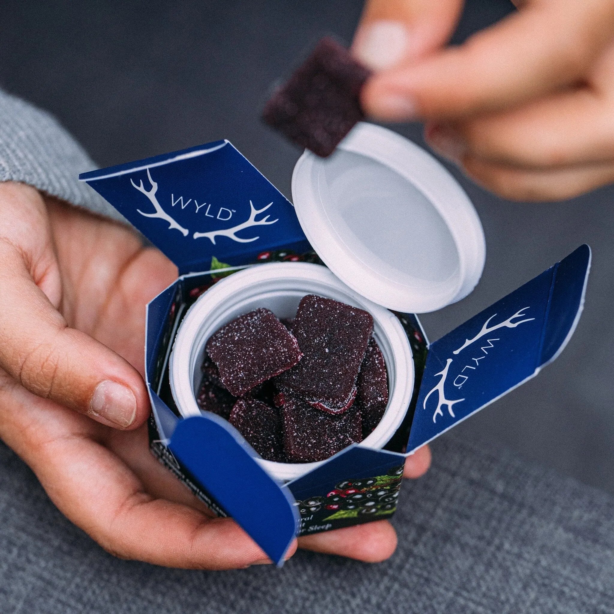 WYLD 2:1 THC/CBN SLEEP Gummies WYLD Coastal Hemp Co