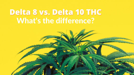 Delta 8 vs Delta 10 What's the Difference - Coastal Hemp Co