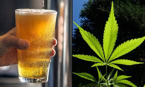 Beer Industry Trade Association Endorses CA Ban On Hemp-Derived THC