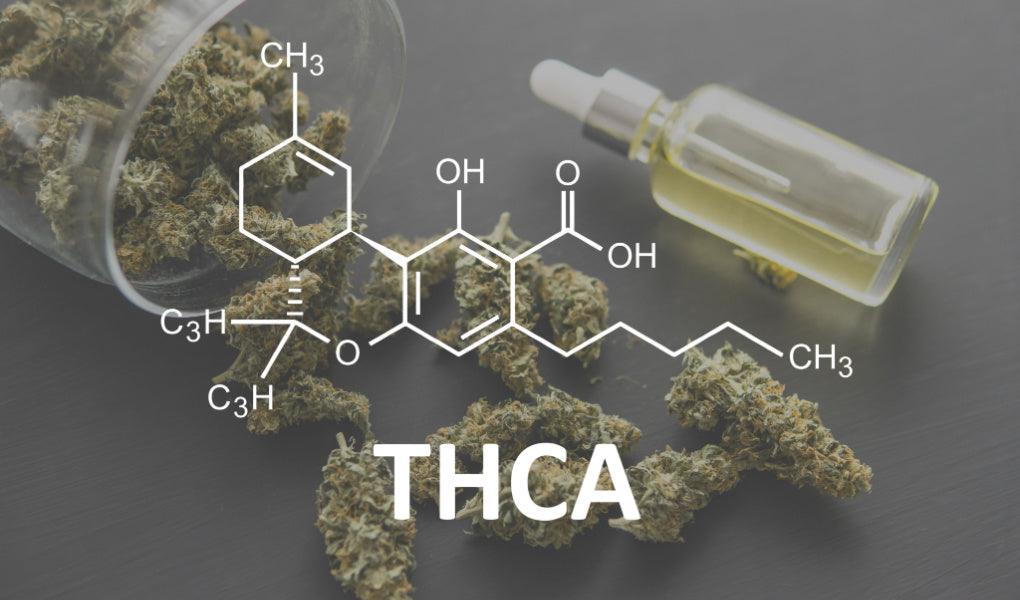 What is THCA - How is THCA different from THC - Coastal Hemp Co