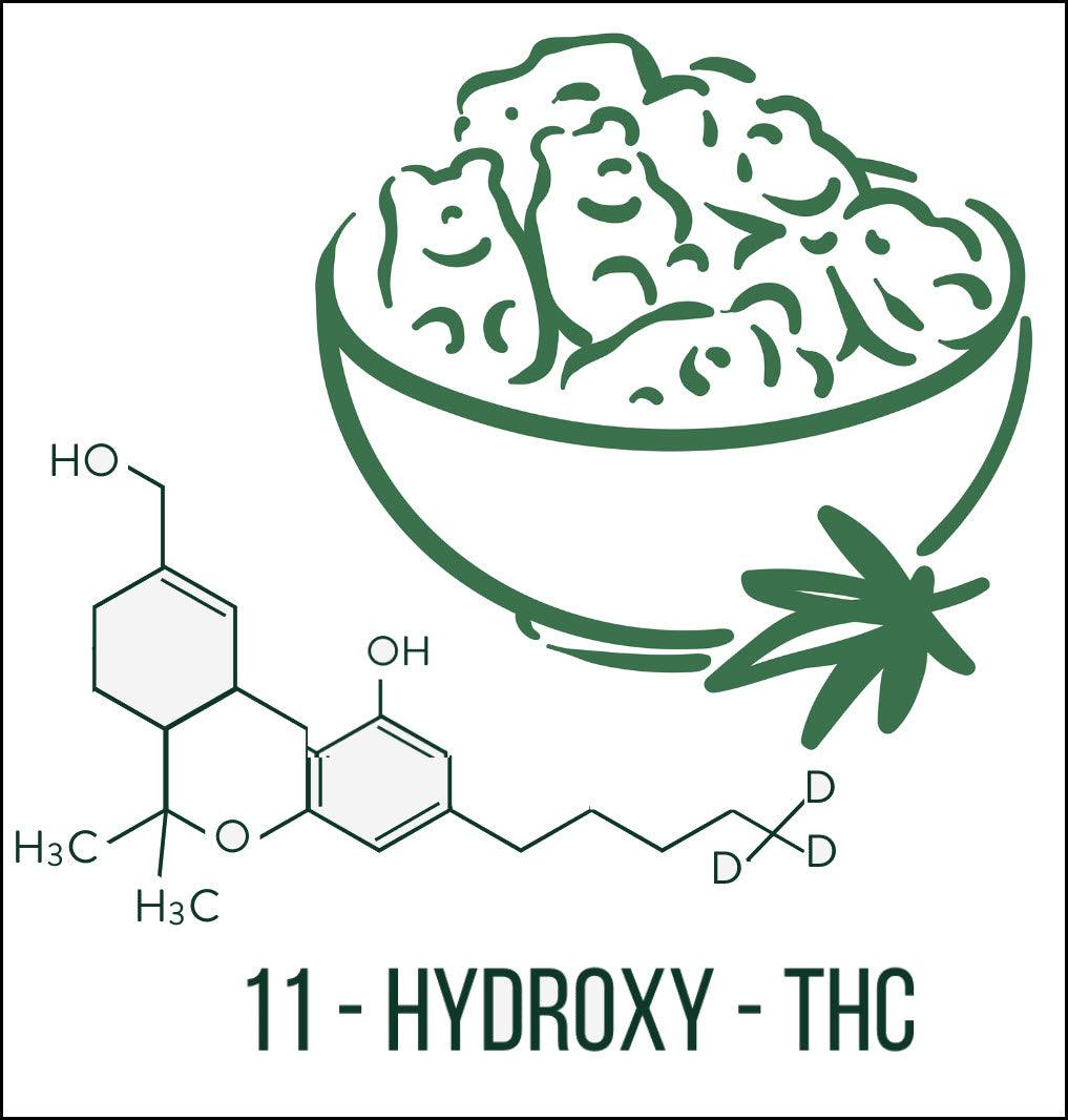 What is 11-Hydroxy - THC? What you need to know. - Coastal Hemp Co