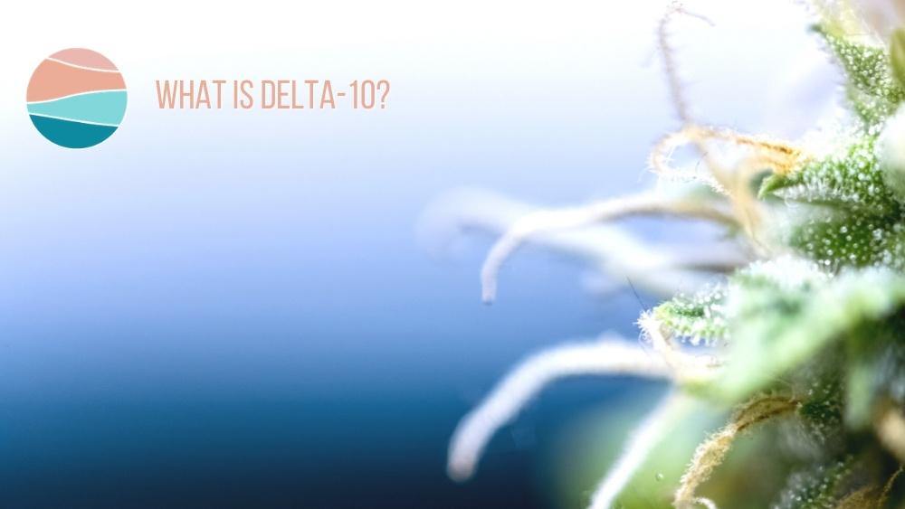What is Delta 10? Everything You Need To Know About Delta 10 THC. - Coastal Hemp Co