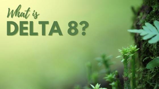 What Is Delta 8 THC? Everything You Need to Know - Coastal Hemp Co
