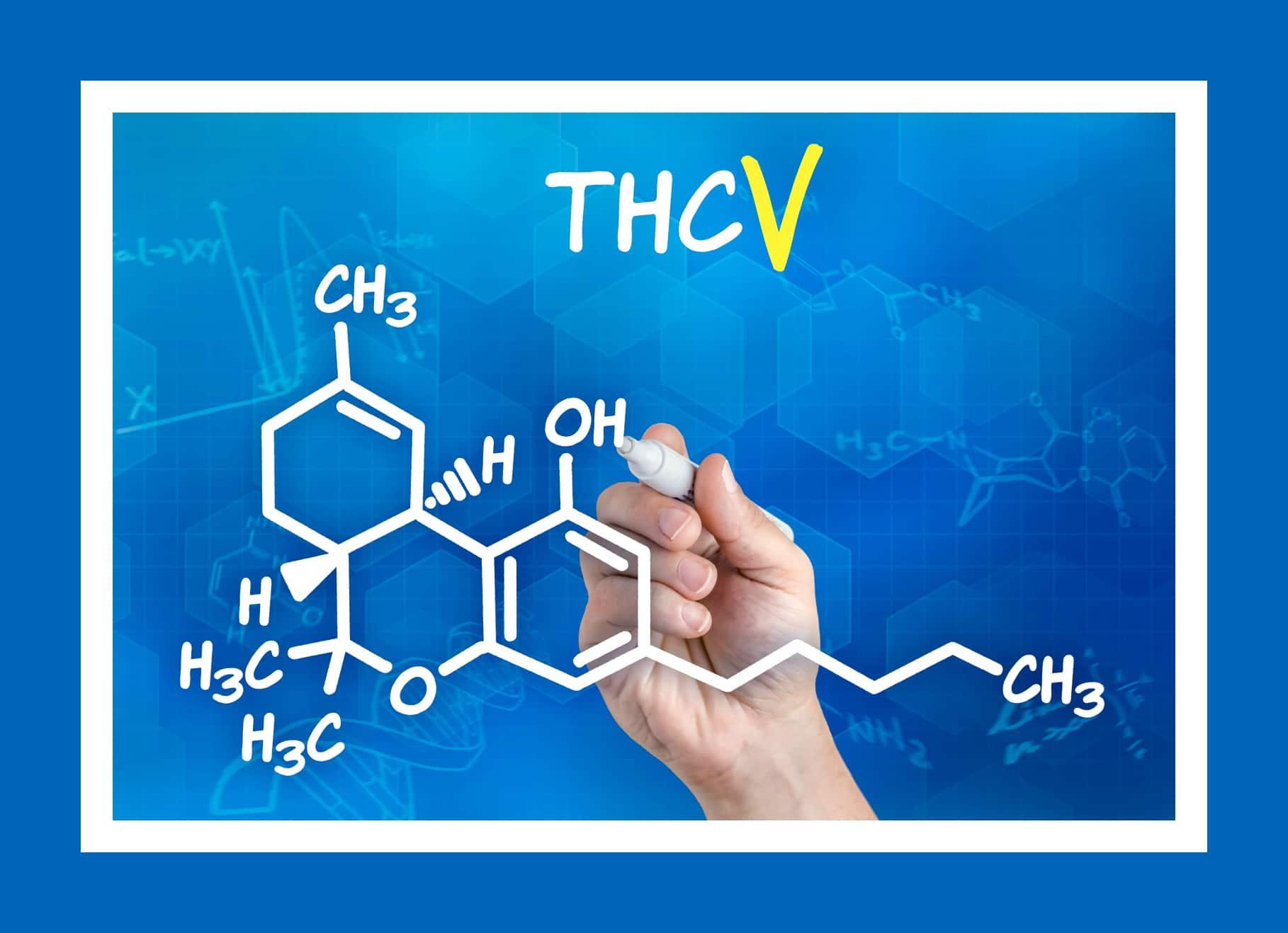 What is the Buzz around THCV aka "Diet Weed" - Coastal Hemp Co