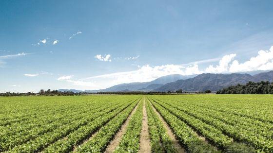 What The US Farm Bill Means For CBD | SourceCBDOil.com - Coastal Hemp Co