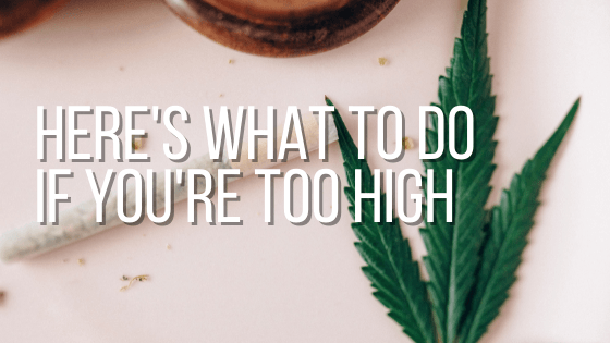 What To Do If You're Too High: 9 Ways To Stop Feeling High - Coastal Hemp Co