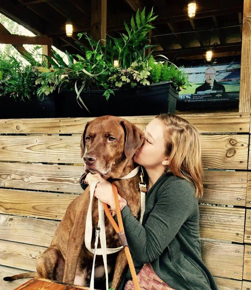 Pet Care - Coastal Hemp Co
