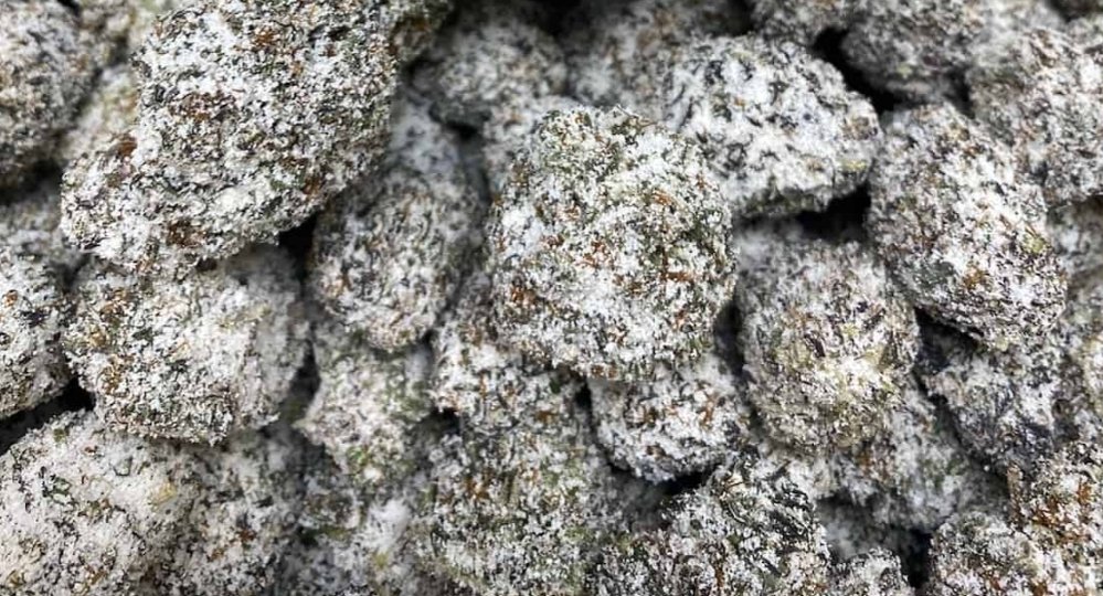 Watermelon OG Snowcaps Premium THCA Indica Cali Extrax Coastal Hemp Co