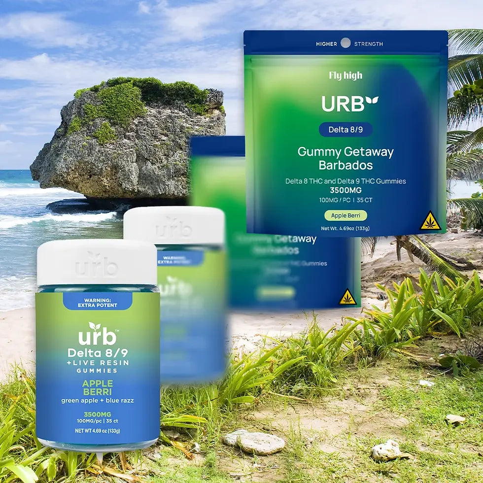 URB Delta-8 & Delta-9 THC Gummies 3500MG by Lifted Made are showcased in vibrant containers and pouches, set against a tropical beach backdrop with rocks, sand, and lush greenery. Now available in a 6-pack display.