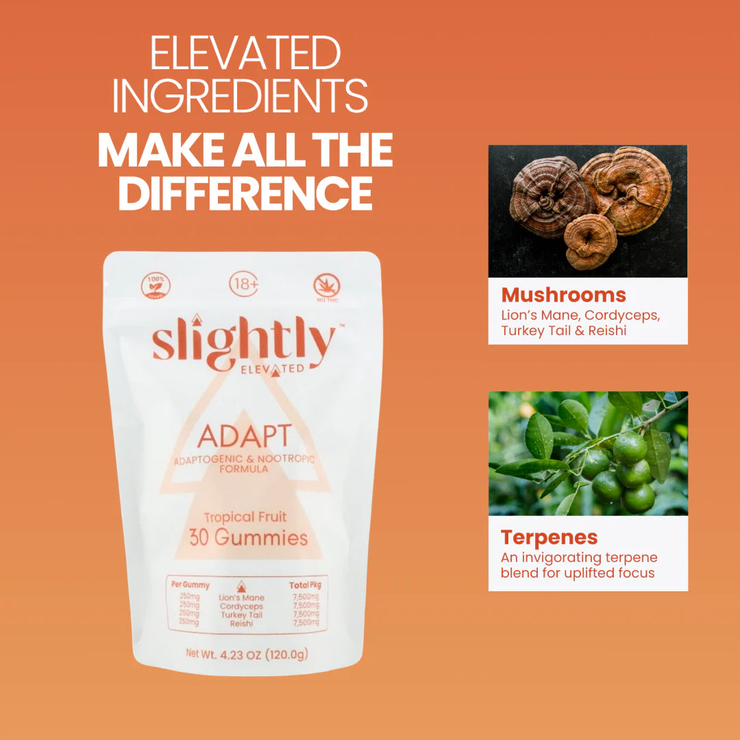 A white, resealable pouch labeled Slightly Elevated Adapt Gummies 30ct by Slightly Elevated sits on a wooden surface with greenery blurred in the background, highlighting adaptogens and nootropics for stress relief.