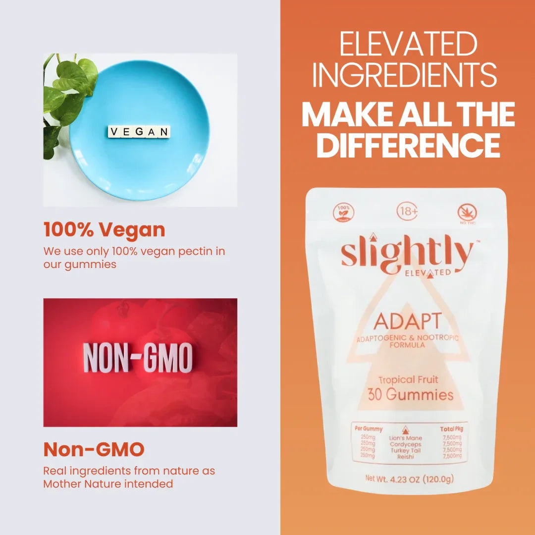 Slightly Elevated Adapt Gummies 30ct by Slightly Elevated sits on a wooden surface with greenery blurred in the background, highlighting adaptogens and nootropics for stress relief.