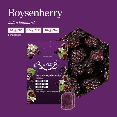WYLD Boysenberry 1:1:1 THC:CBD:CBN | Dream - Sleep Gummies - Coastal Hemp Co