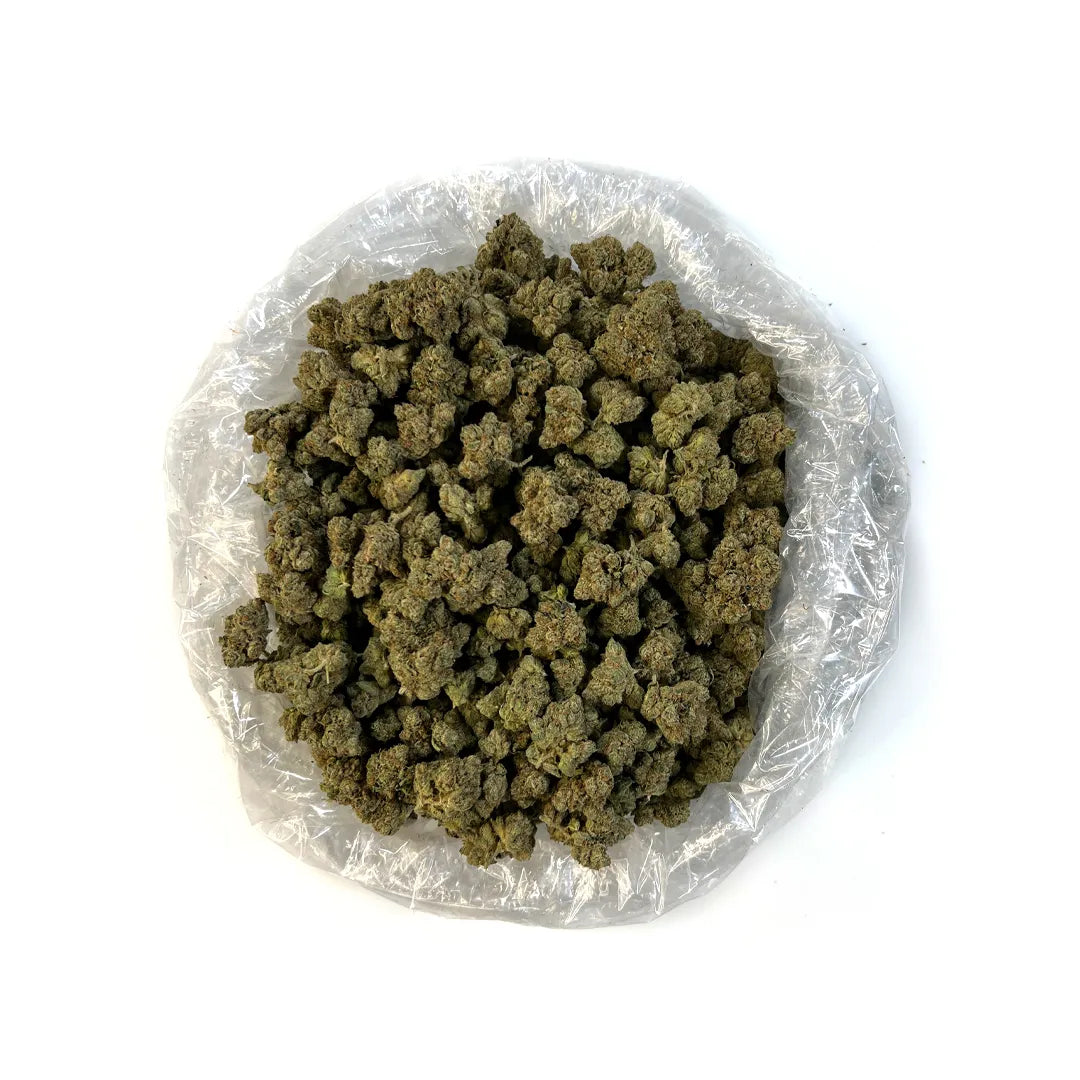 Malibu Pure Kush (Hybrid) Exotic THCA Flower