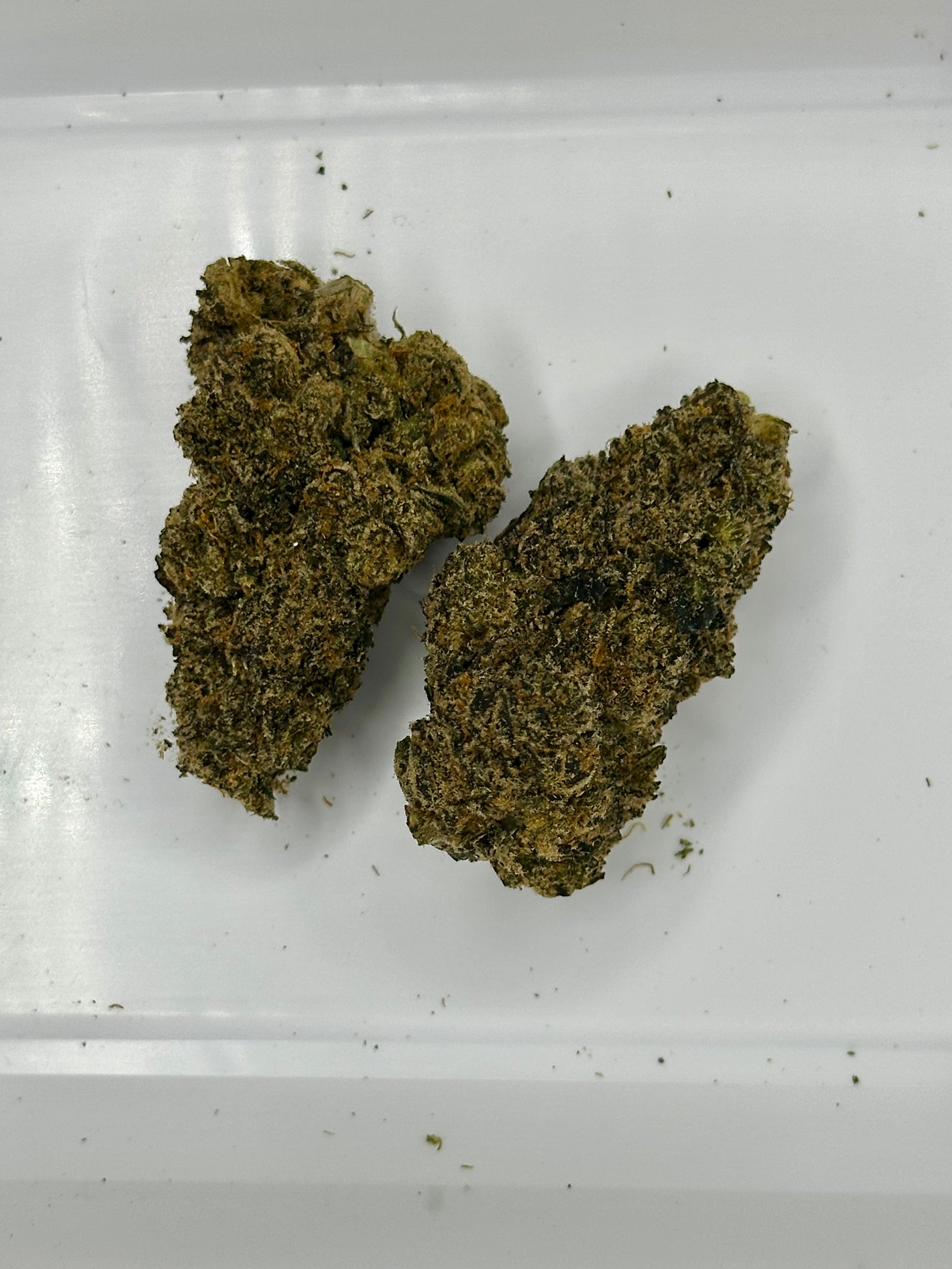 Redbull THCa Flower (Sativa)