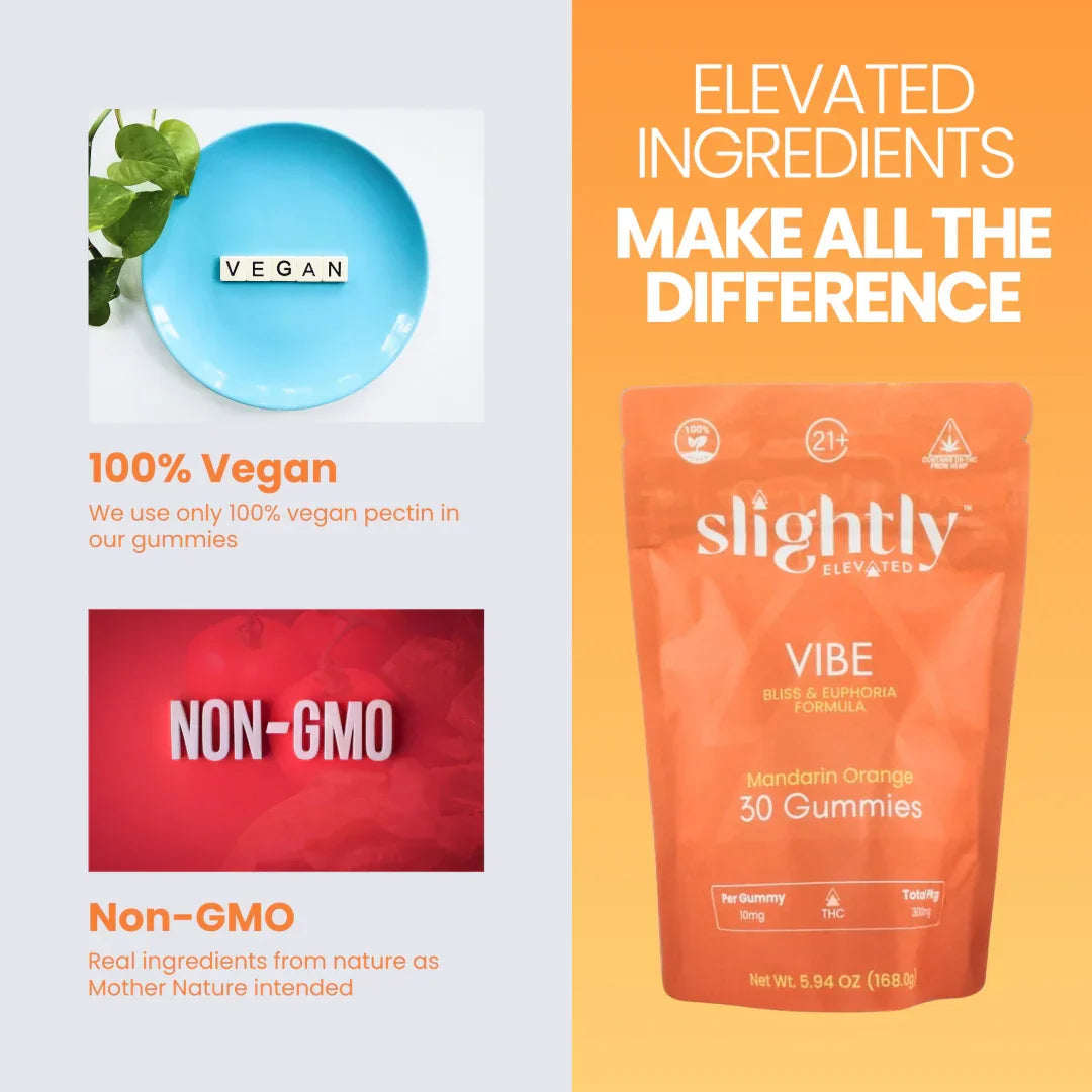 A bag of Slightly Elevated Vibe Gummies 30ct by Slightly Elevated is shown outdoors on grass, with people relaxing on blankets at a park event in the blurred background.