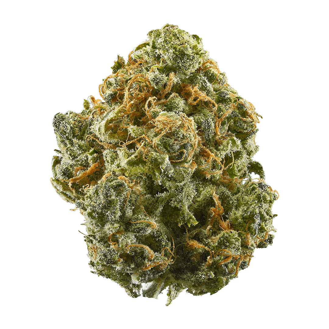 Blue Dream (Sativa) Exotic THCA Flower - Platinum - Coastal Hemp Co