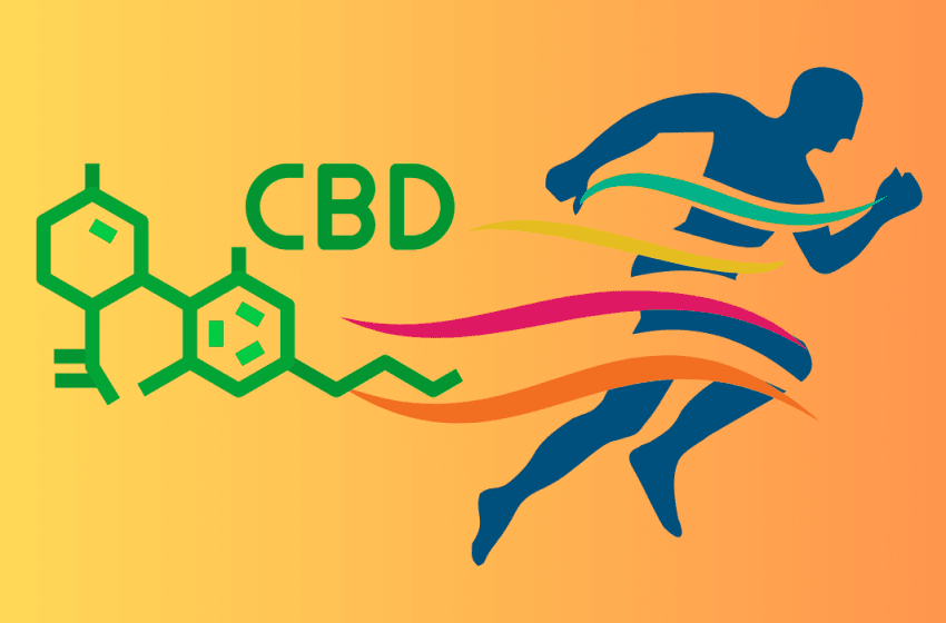 CBD Sports Cream 1000mg + Menthol SourceCBD Coastal Hemp Co