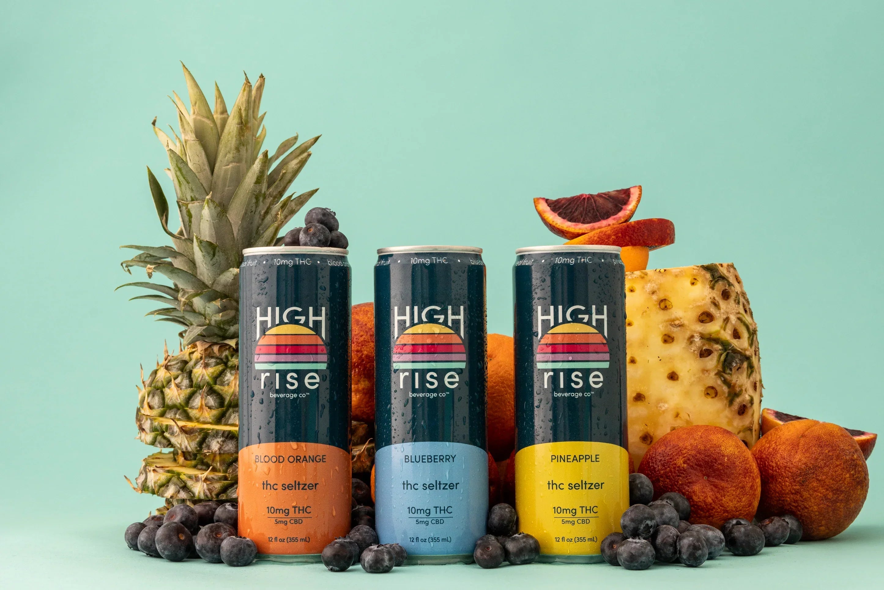 High Rise Delta-9 Seltzers 10mg High Rise Beverage Co. Coastal Hemp Co