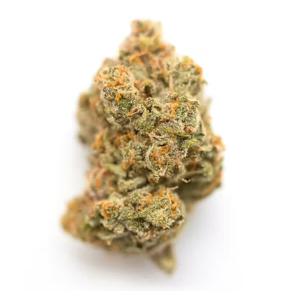 Donuts THCA Flower Sativa Coastal Canna Coastal Hemp Co