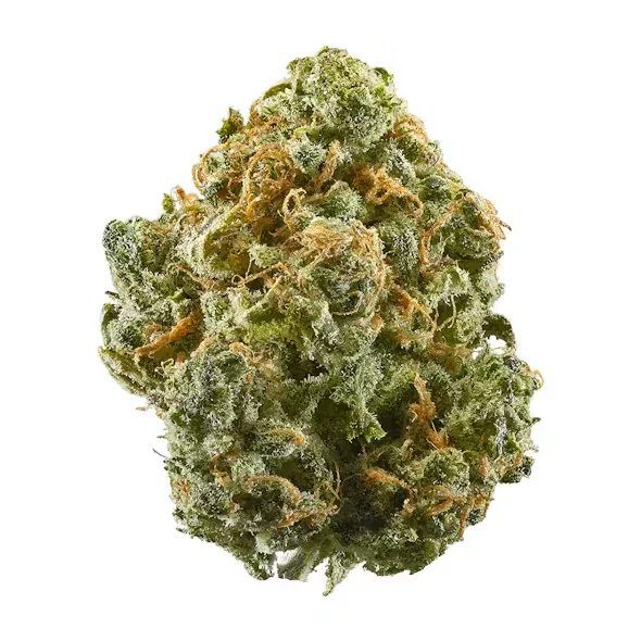 Lemonati Sativa Coastal Canna Coastal Hemp Co