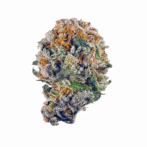 Rainbow Belts THCA Flower Sativa Coastal Canna Coastal Hemp Co