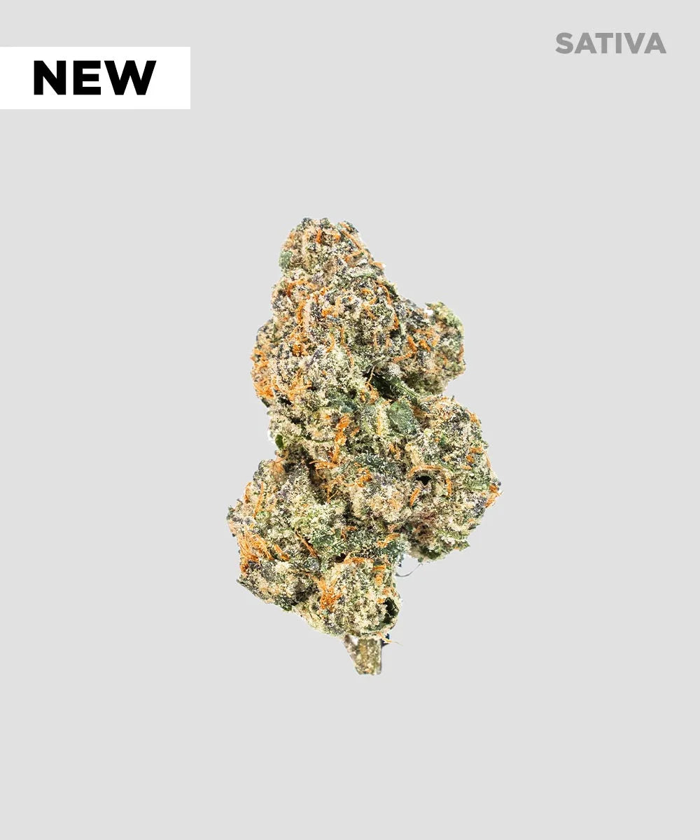 Imperial Exotic Zaza THCA Flower 3.5G - Coastal Hemp Co