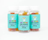 Full-Spectrum CBD Gummies 500 mg Vegan - Coastal Hemp Co - Coastal Hemp Co